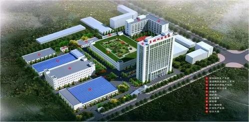 科技创新引领市场，皇城药业与厦门软件共铸“小巨人”之路